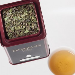 Чай зеленый ароматизированный Dammann The Vert Menthe Touareg / Зеленый с мятой Туарег Жестяная банка (100 гр.)